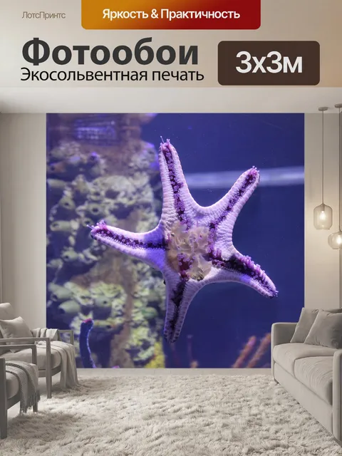 Фотообои Морская звезда