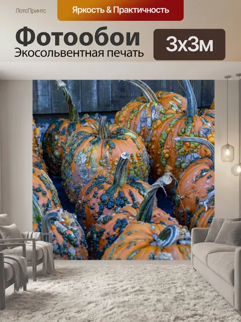 Фотообои Бородавчатые тыквы