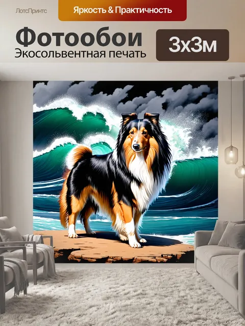 Фотообои грубая колли, стоящая на скале над морем в бурное время, с волнами, разбивающимися о берега