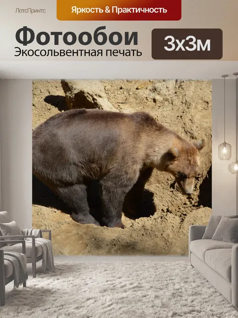 Фотообои Бурый медведь 04
