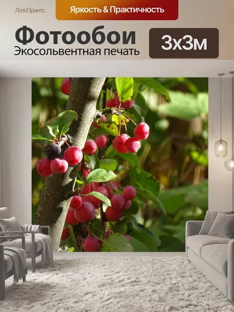 Фотообои Осень