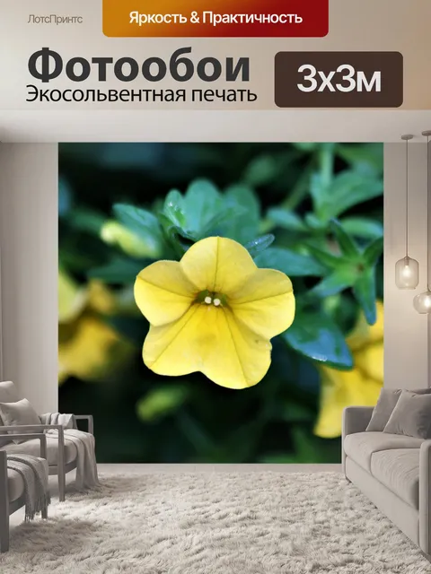 Фотообои Желтая петунья