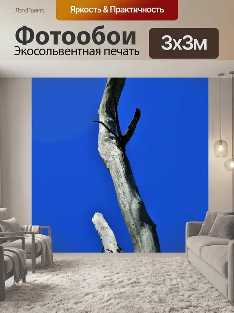 Фотообои Ствол дерева на фоне голубого неба