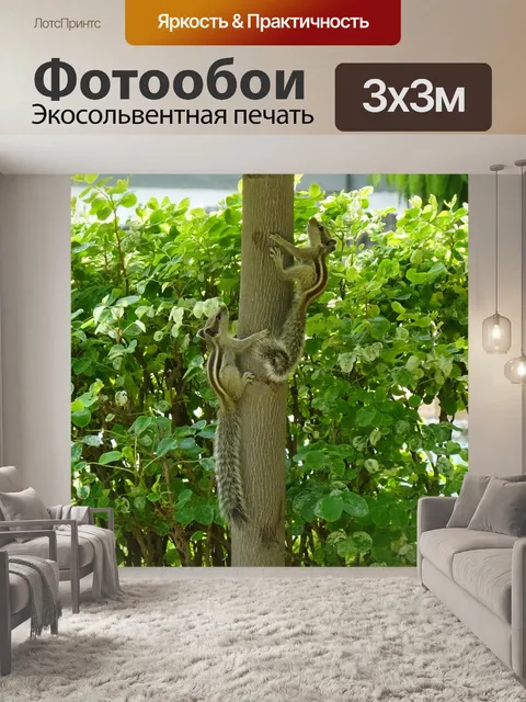 Фотообои Белка