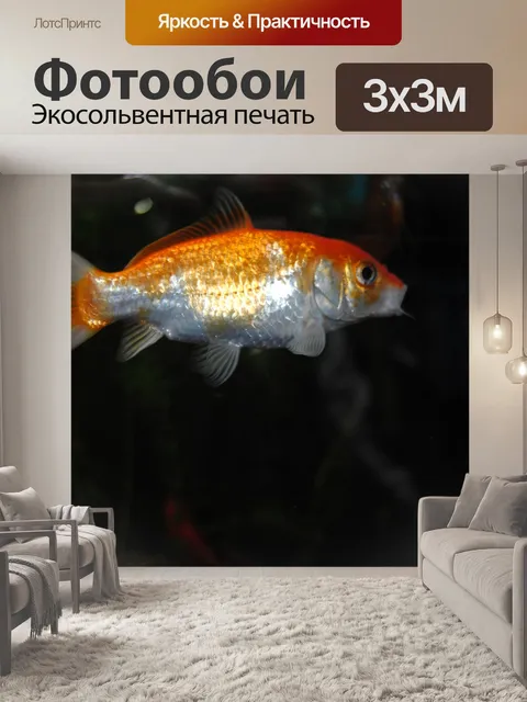 Фотообои Золотая рыбка