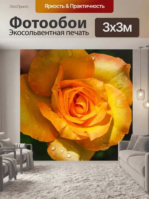 Фотообои Роза в саду