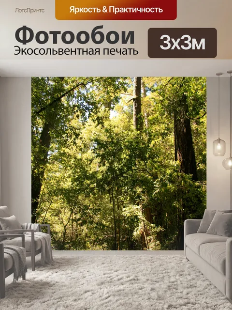 Фотообои Путь проходит через некоторые деревья