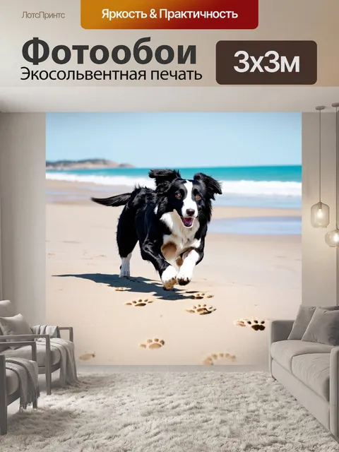 Фотообои бордер-колли, весело бегающий по пляжу , оставляя следы на песке