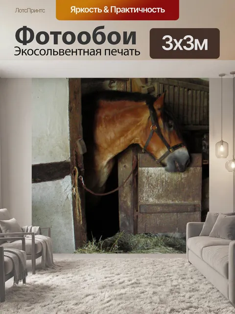 Фотообои Холодная крови лошади
