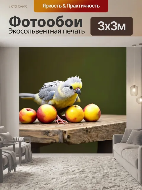 Фотообои корелла, исследующая яркие фрукты на старом деревянном столе