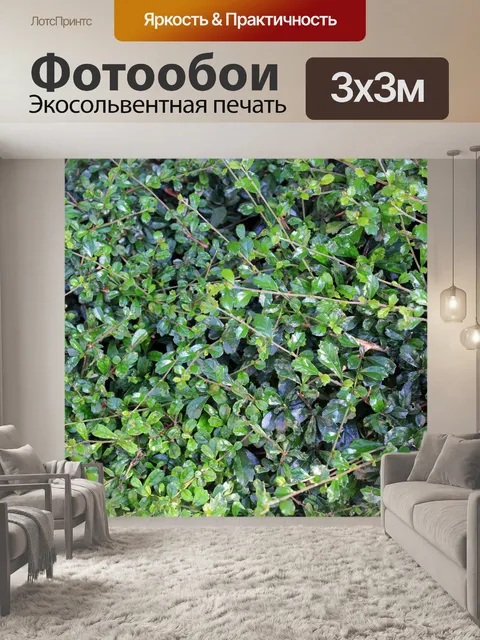 Фотообои Зеленые листья 3