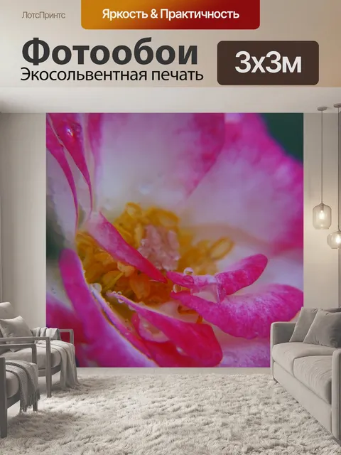 Фотообои Розы и капли