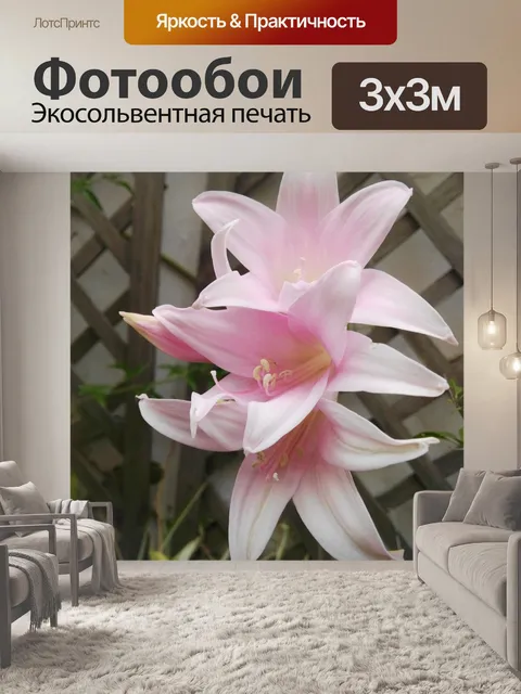 Фотообои Цветы 12