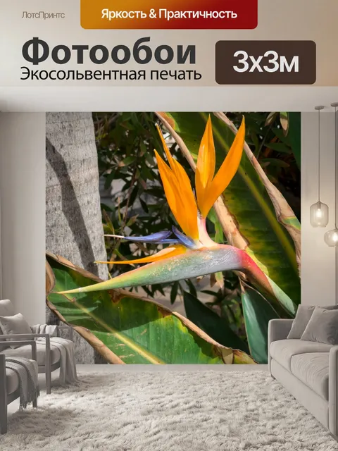 Фотообои Цветок райской птицы