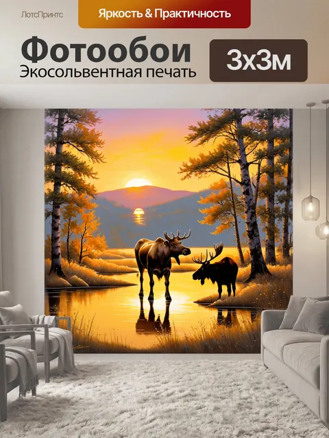Фотообои спокойный момент заката