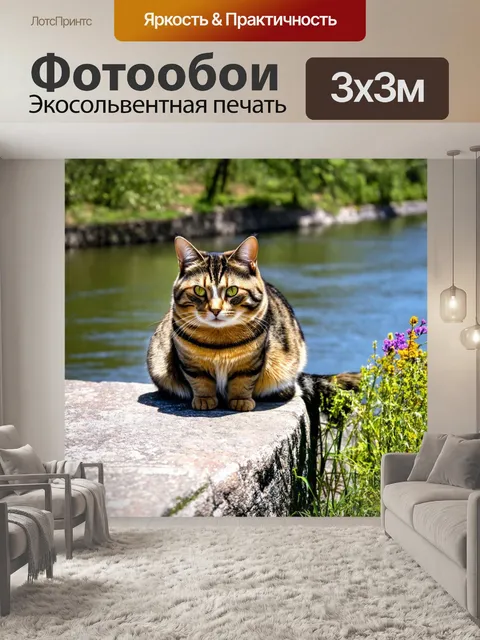 Фотообои кот, который греется на каменной кладке у реки