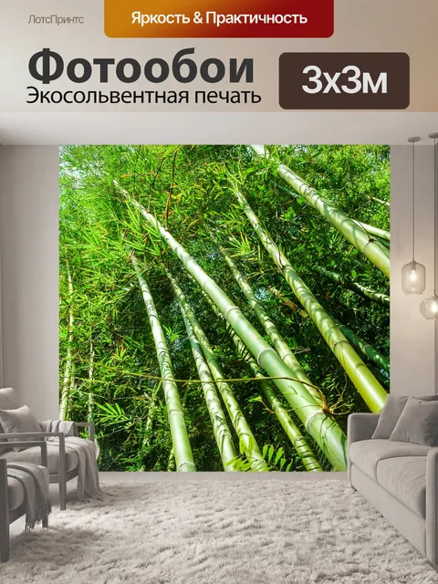Фотообои Бамбуковый лес