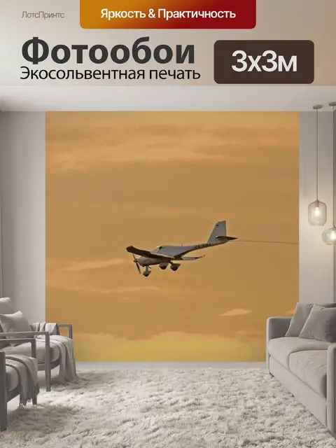 Фотообои планер в небо эффект заката