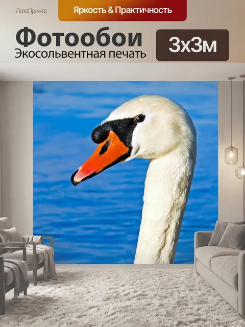 Фотообои Лебедь