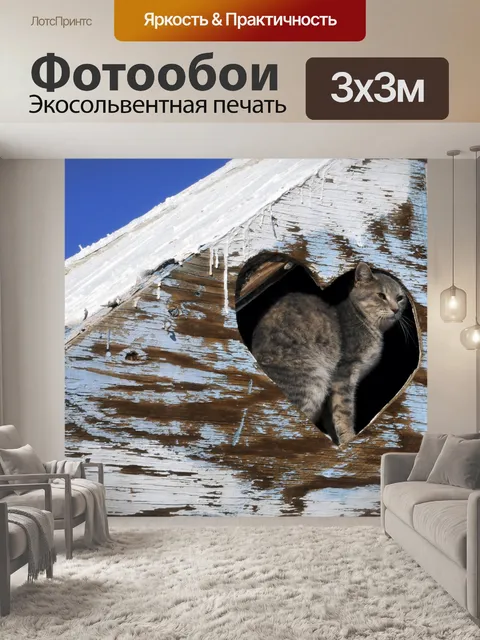 Фотообои Кот сидит в сердце