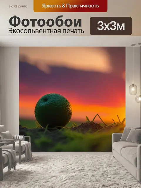 Фотообои киви на фоне яркого заката