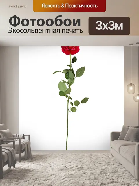 Фотообои Красная роза
