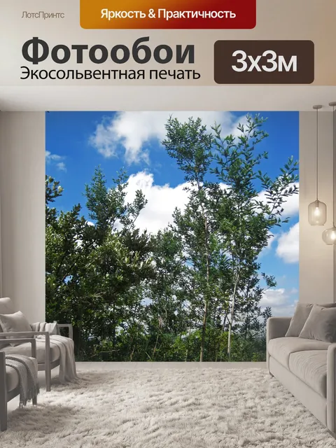 Фотообои плетень на фоне голубого неба