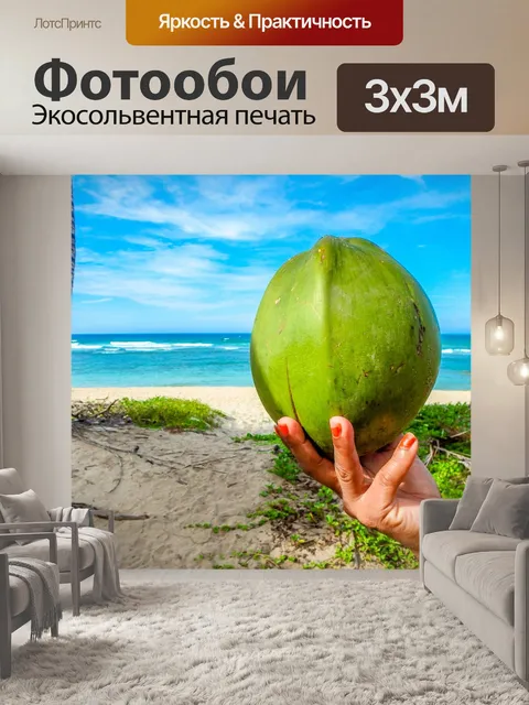 Фотообои Кокос