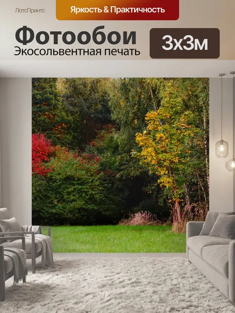 Фотообои Деревья осенней лесной поляны