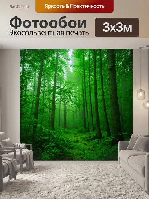 Фотообои зеленый лес с утренним туманом, пронизывающим деревья