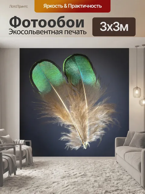 Фотообои Перья