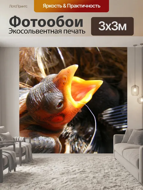 Фотообои Детка