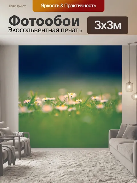 Фотообои Дейзи цветы
