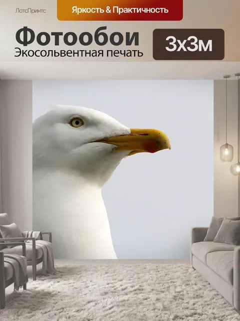 Фотообои чайка