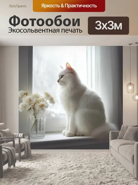 Фотообои Домашний питомец, кошка, белая, пушистая, окно, обзор