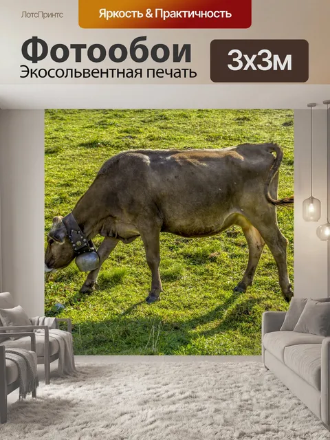 Фотообои Альпийская дойная корова