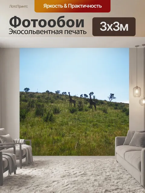 Фотообои вдалеке видны два жирафа