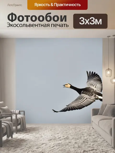 Фотообои Гусь