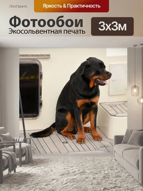 Фотообои Все платы 1