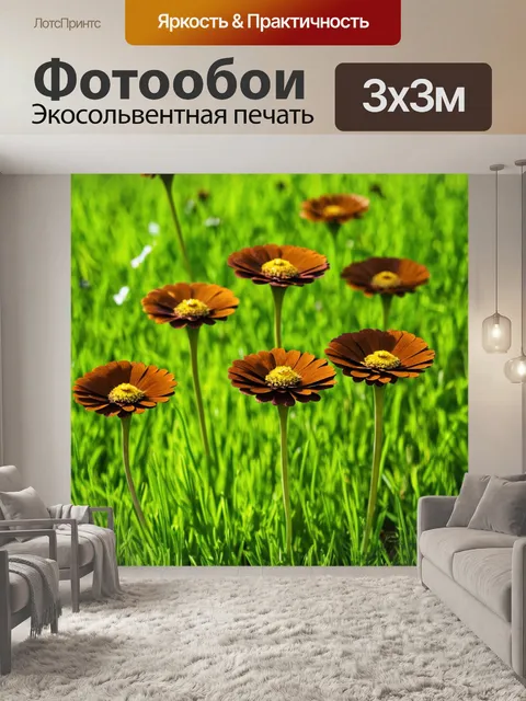 Фотообои коричневые цветы в саду на фоне зелёной травы