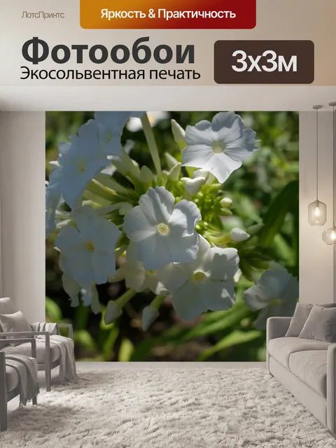Фотообои Цветы