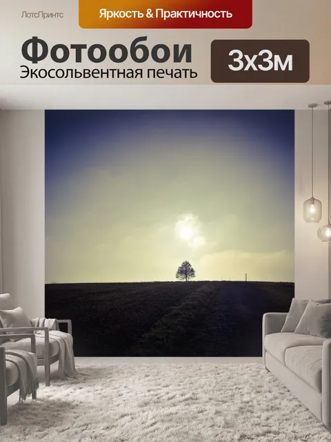 Фотообои Простор