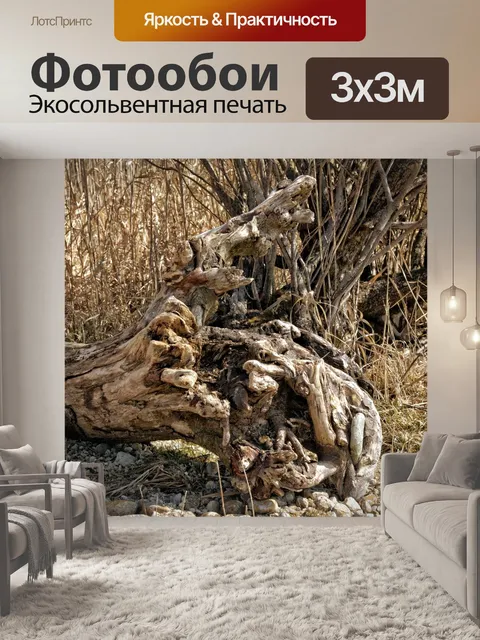 Фотообои Мрачный