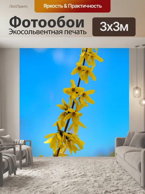 Фотообои Форсайтия