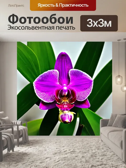 Фотообои орхидея в центре композиции, окруженная зелеными листьями