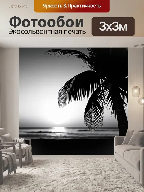 Фотообои черно-белый: тропическая пальма на фоне пейзажа с закатом, символизирующая отдых и мир