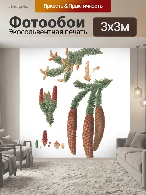 Фотообои Сосновые Клипарты