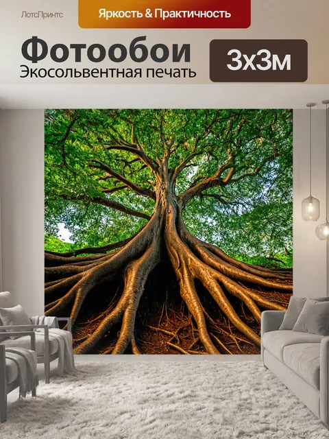 Фотообои старые деревья с мощными корнями, обвившимися с землёй