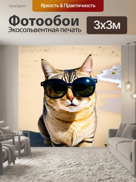 Фотообои кот с веселыми очками на пляже