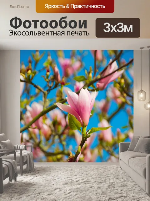 Фотообои Цветок магнолии.
